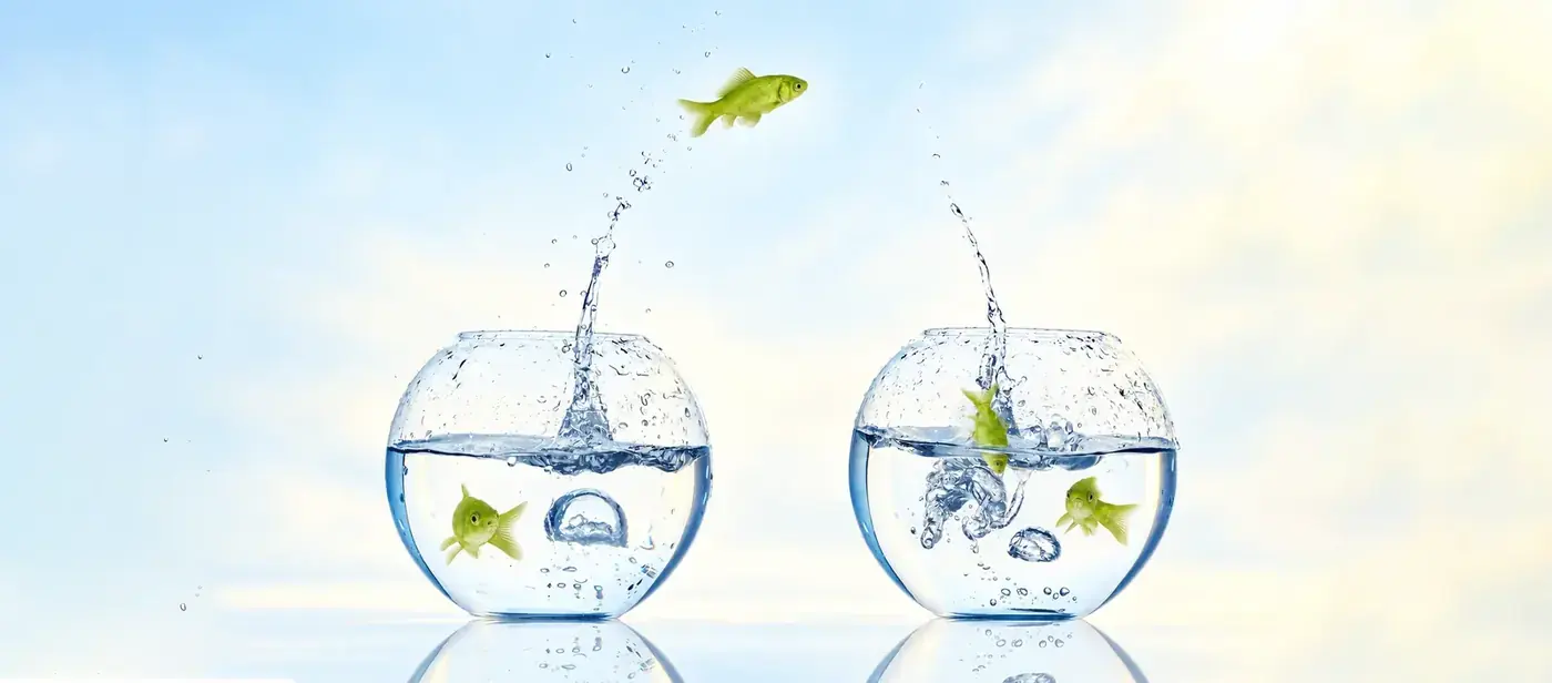 Zwei Goldfische springen aus einem Glas in ein anderes Glas
