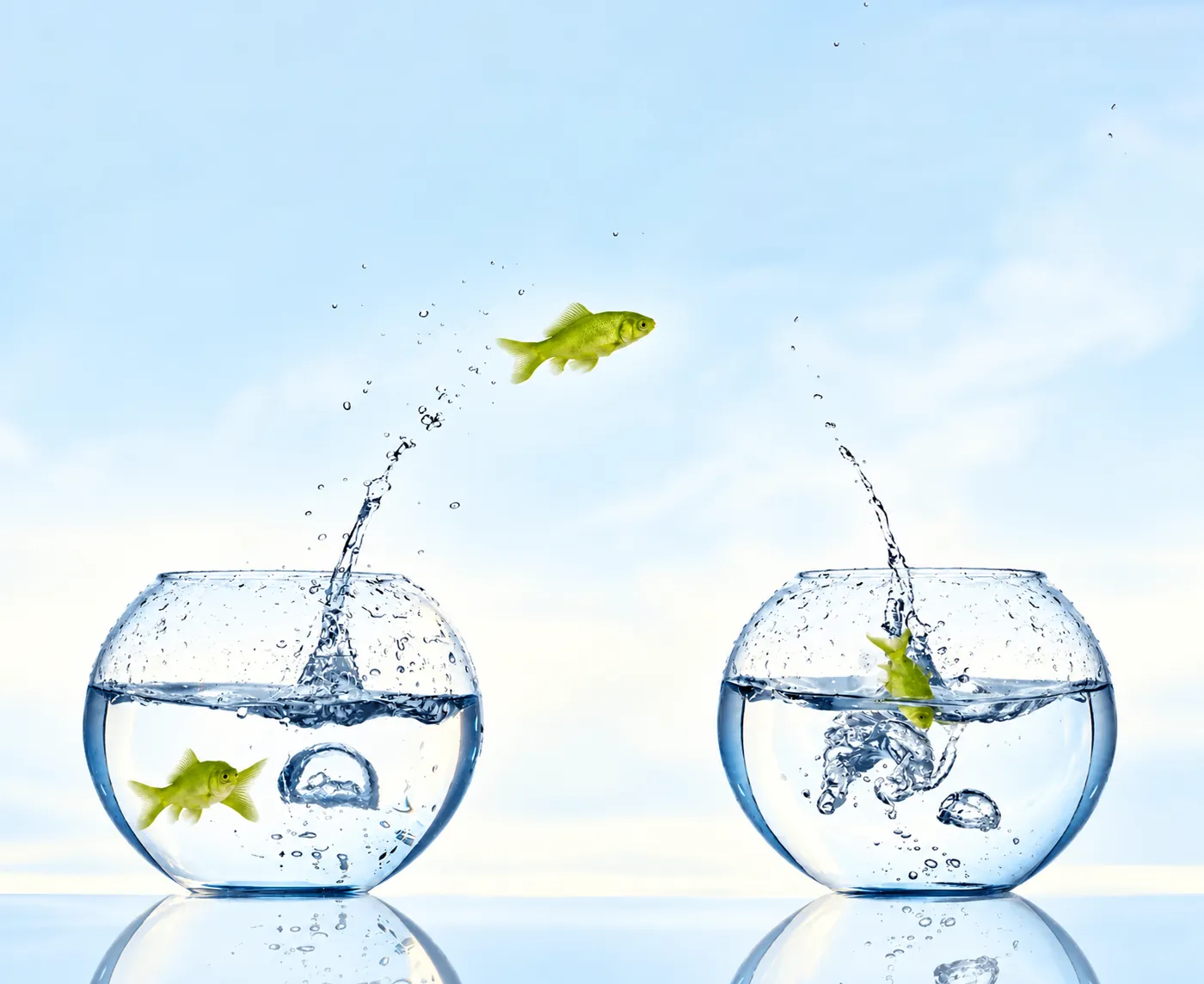 Migration von anderen Plattformen